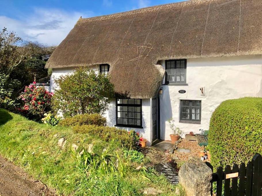 Coombe Cottage Сейнт Агнес Екстериор снимка